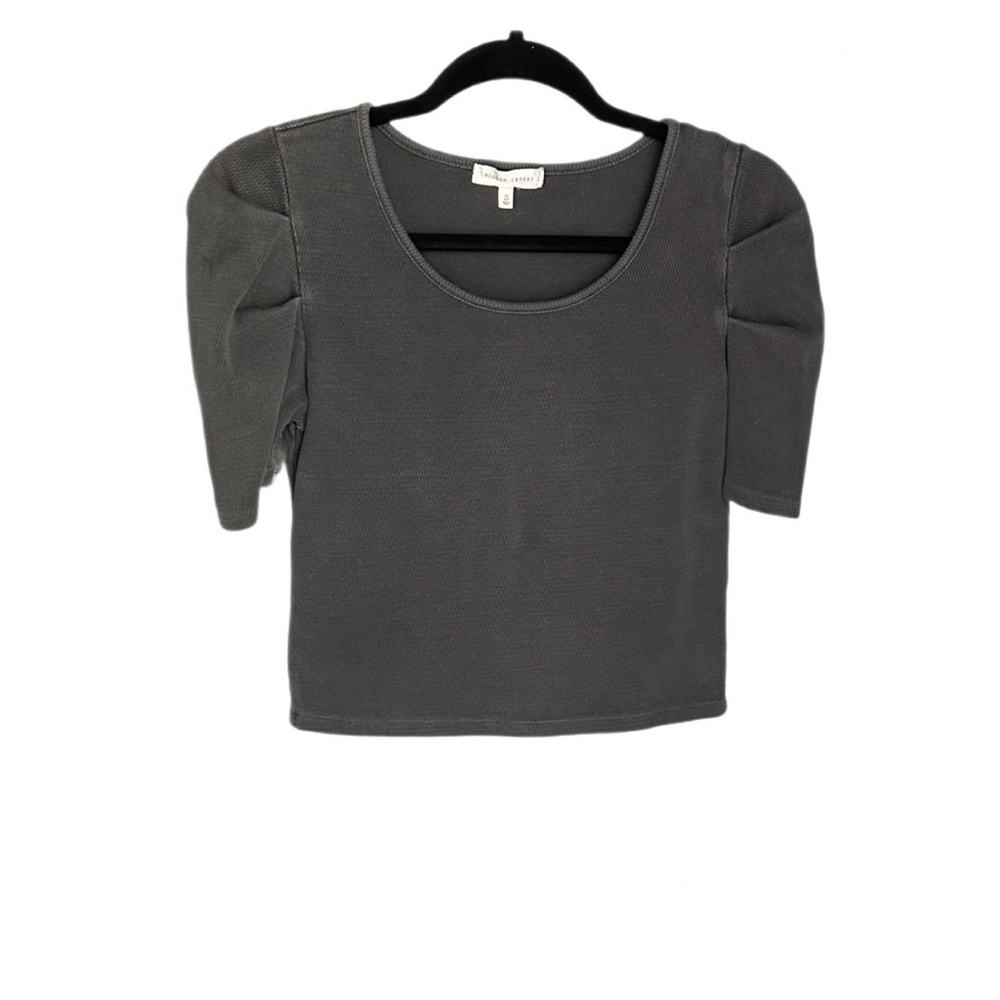 Gilded Intent (Buckle) Gray Puff Sleeve Crop Top Size S